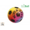 Palla da calcio Bio Ball SuperTele Rainbow cm. 23