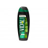 Docciashampoo Vidal Menta e Ginkgo da 250 ml