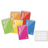 Blocchi Notes formato A6 Derby 10x15