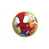 Palla da gioco diam. 23 Spidey & Friends