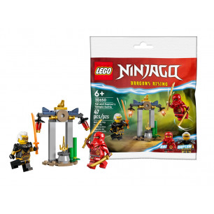 Lego Ninjago in busta battaglia nel tempio di Kai e Rapton