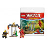 Lego Ninjago in busta battaglia nel tempio di Kai e Rapton