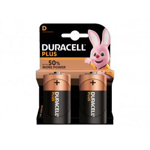 Pile Duracell Torcia D blister da 2 pile